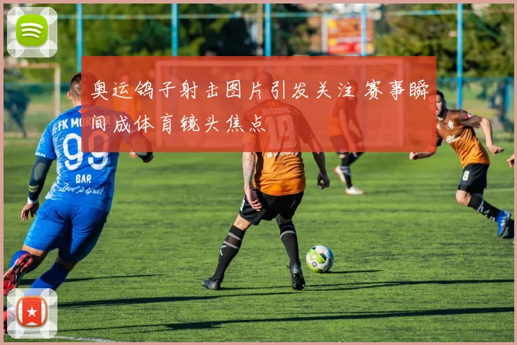 奥运鸽子射击图片引发关注 赛事瞬间成体育镜头焦点