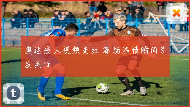 奥运感人视频走红 赛场温情瞬间引发关注