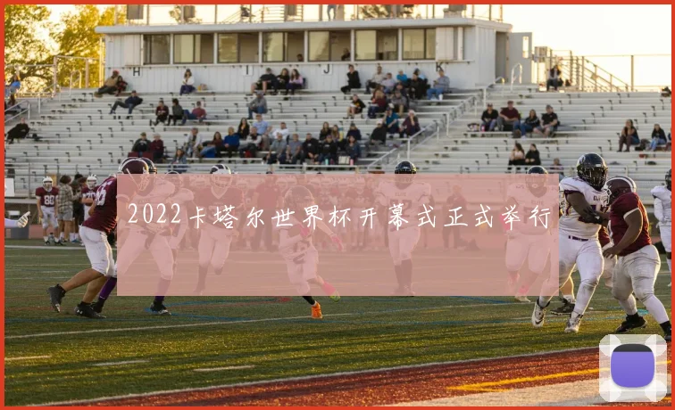 2022卡塔尔世界杯开幕式正式举行